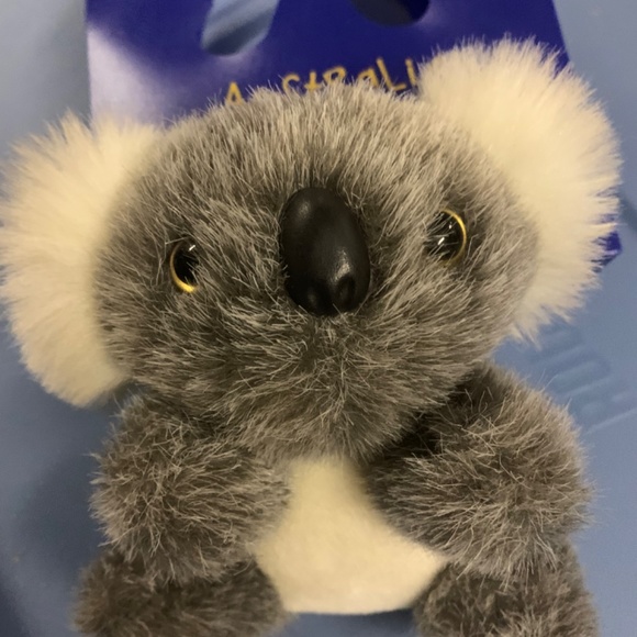 Australian | Koala - Picture 3 of 5